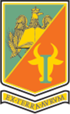 program