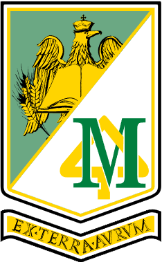 program